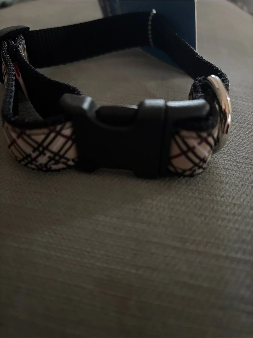 RC Pets clip collar